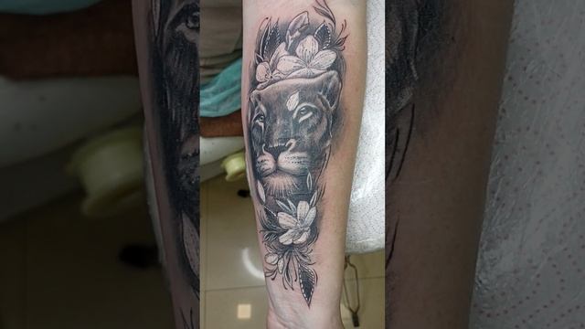 Сегодня у нас львица для девушки. #tattoo #Tattoo_Master смотреть онлайн