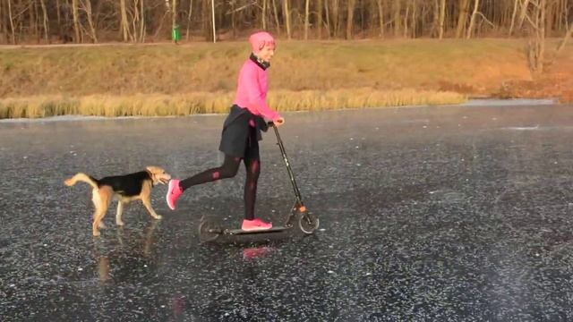 Прогулка на Лебедянский пруд смотреть онлайн