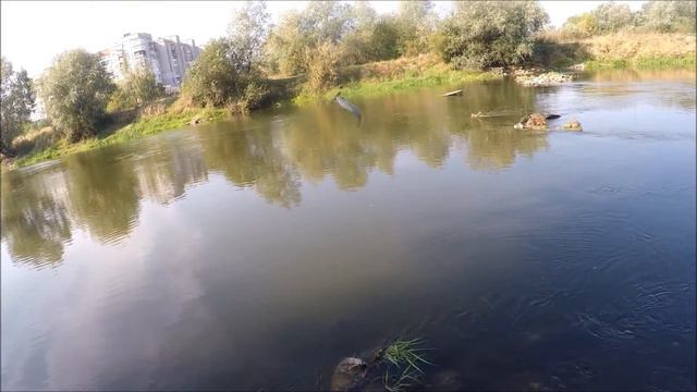 рыболовные приключения 42 смотреть онлайн