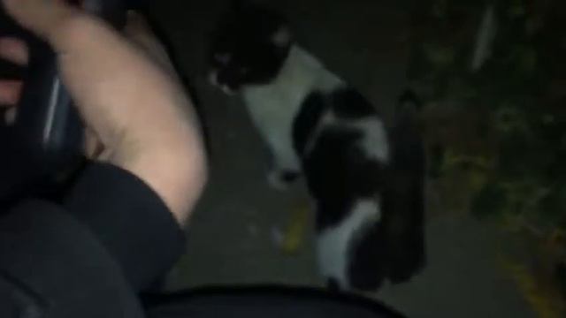 Влад А4 в Амонг Ас(18+) смотреть онлайн
