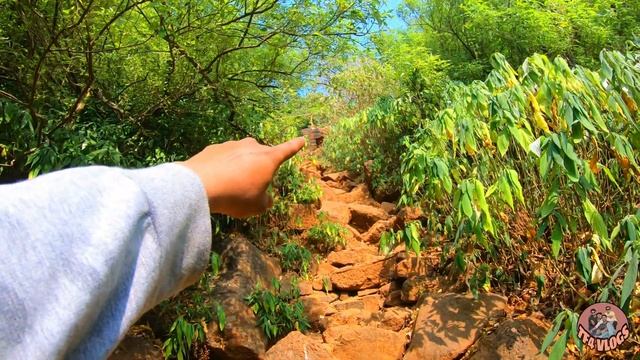Prabalgad Fort / Tf4 Vlogs / Prabalgad and Kalavantin Durg / Prabalgad fort trek/ #forts #prabalgad смотреть онлайн