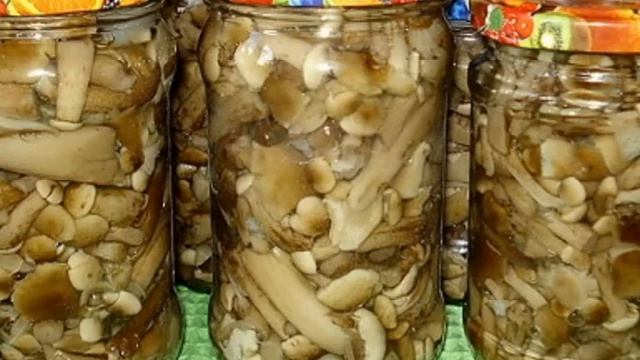 ЗАСОЛКА ГРИБОВ НА ЗИМУ смотреть онлайн