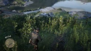 Превосходная Шкура Енота. Red Dead Redemption 2.