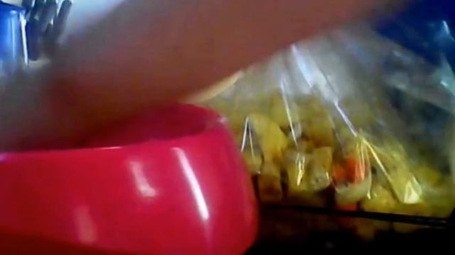Курица в духовке с медом и горчицей смотреть онлайн