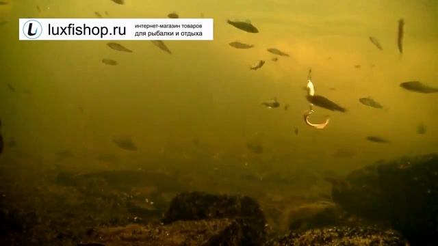 Рыболовная камера для съемки под водой FishCam 350 DVR смотреть онлайн