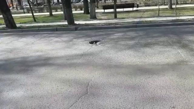 Открытый люк на бульваре Молодой Гвардии смотреть онлайн