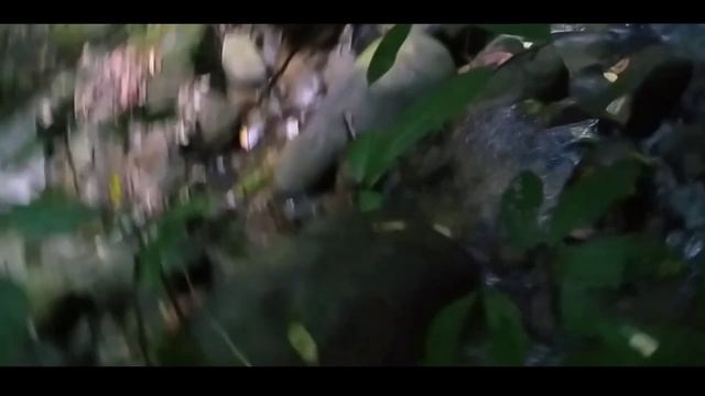 Fishing at Night || How to catch crab ||How to catch frog || 2020 смотреть онлайн