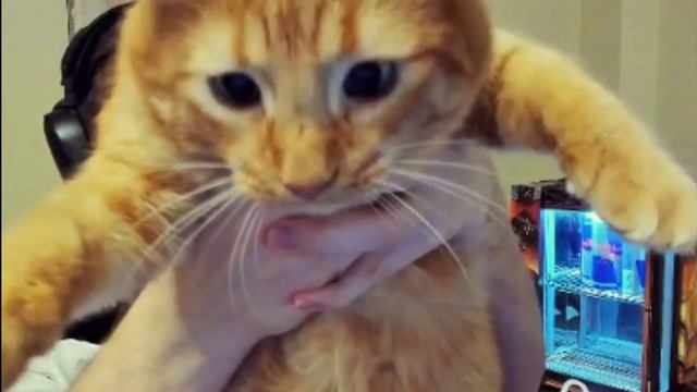 За что Ареса? смотреть онлайн