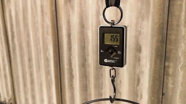 Взвешивание Гуси линда, 31 день, 1 месяц, 4 недели смотреть онлайн