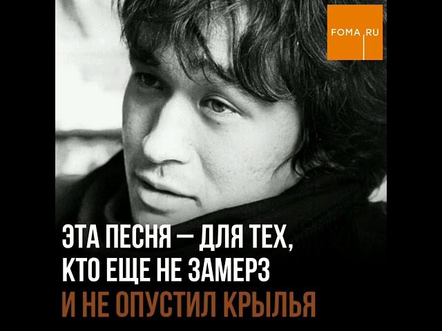 Ольга Кормухина и Алексей Белов назвали любимую песню Цоя смотреть онлайн