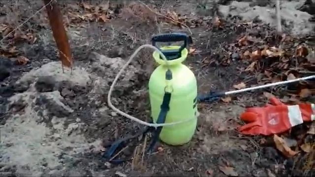 Обрезка винограда осенью и обработка железным купоросом смотреть онлайн