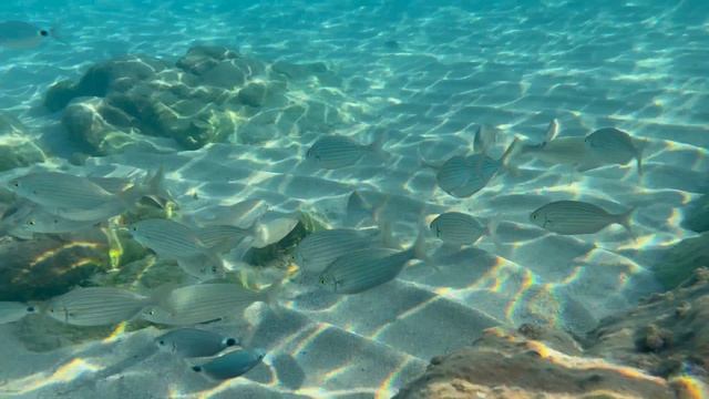 Cannes, Plage du Midi 2023 смотреть онлайн