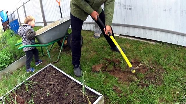 Посадили малину/Пересадили жимолость/ Собираем урожай/Выходной на даче/Дача с нуля смотреть онлайн