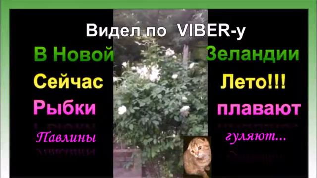 Шалун 3 смотреть онлайн
