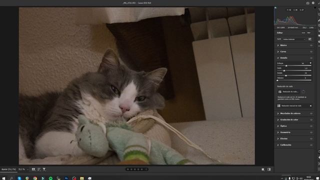 Eliminar ruido IA de camera raw, sigo probando la nueva herramienta. смотреть онлайн