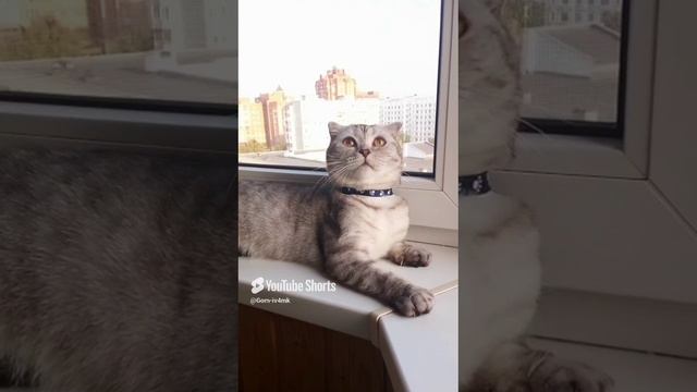 31 августа 2024 г..mp4