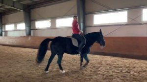 КАК ПОВОРАЧИВАТЬ ЛОШАДЬ