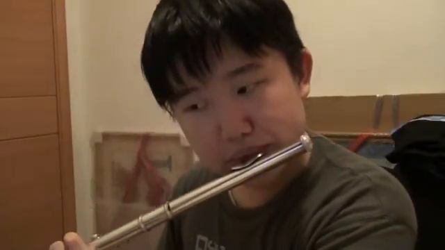 Nausicaa Requiem from Japanese Anime "Nausicaä of the Valley of the Wind" - flute смотреть онлайн