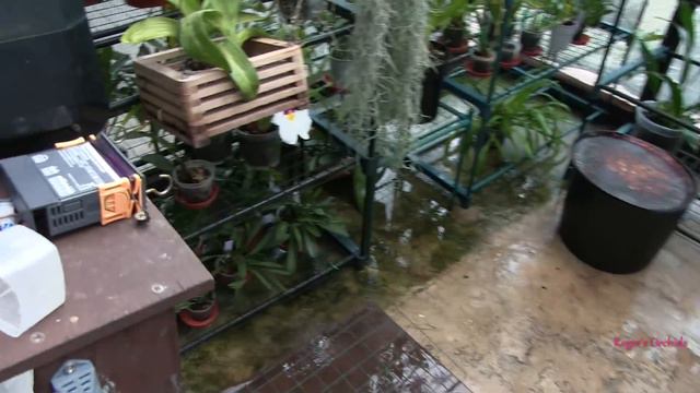 A Mixed Bunch of Clips - Bug Spray, Foggers, Water and Stuff смотреть онлайн