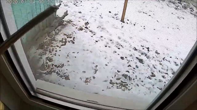 Почему окна Потеют и Замерзают В чем причина и как её устранить 100% результат! смотреть онлайн