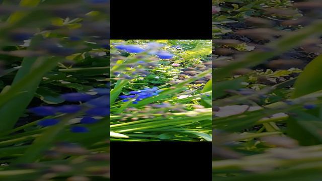 Все взаимосвязано