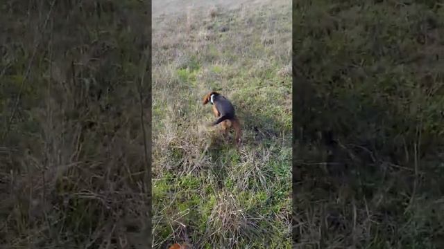 Crappy day part 2 смотреть онлайн