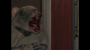 Parasite Eve 1 The Rat Transformation Scene