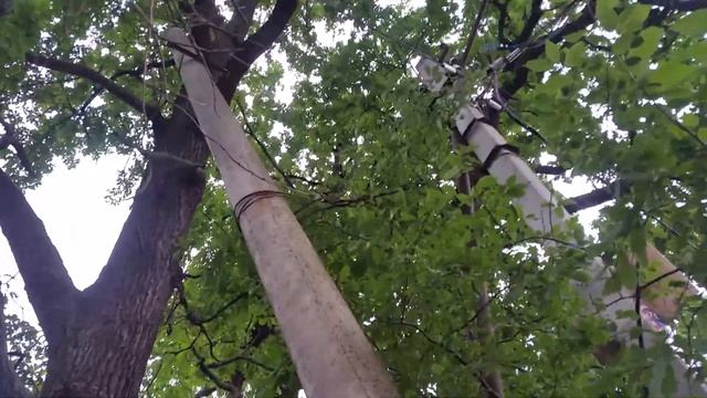 Падающие опоры ЛЭП. Пушкино МО смотреть онлайн