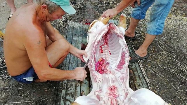 Качественная разделка кабана, Смалим соломой. смотреть онлайн