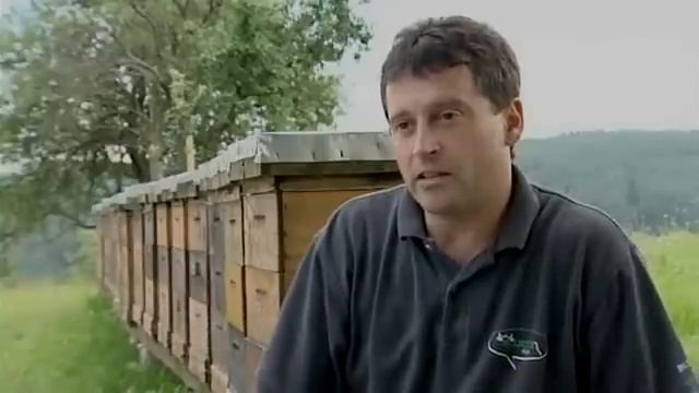 Нова Пасіка   Бизнес на пасеке   Как работают они ч.2 из 3