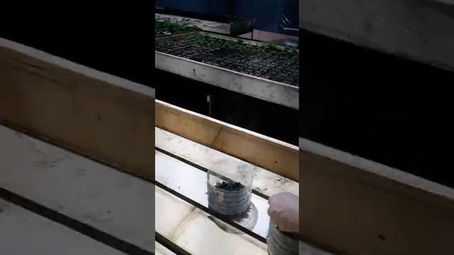 Места не хватает! Собираем еще столы))#shots# смотреть онлайн