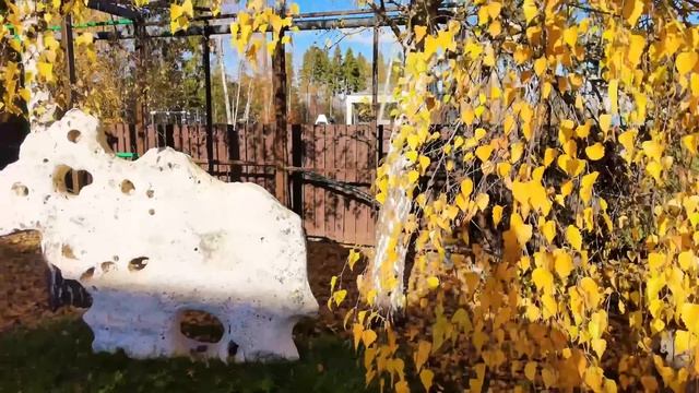 Открытие секрета: Преображение вашего участка с помощью прудов ? смотреть онлайн