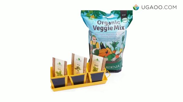 Get On The Ground With These Exciting Ugaoo Combos!