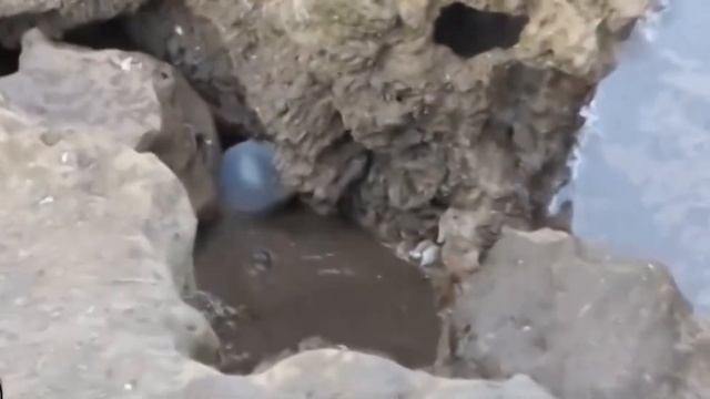 САМЫЕ СТРАННЫЕ ВЕЩИ ВЫБРОШЕННЫЕ НА БЕРЕГ смотреть онлайн