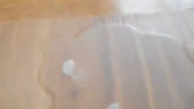 Делаем розу из воска! смотреть онлайн