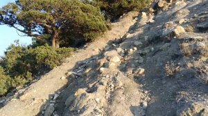 Опасный подъем на Гору Орёл в Новом Свете