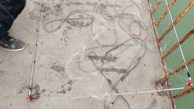 Как ловят в Геническе пелингас смотреть онлайн