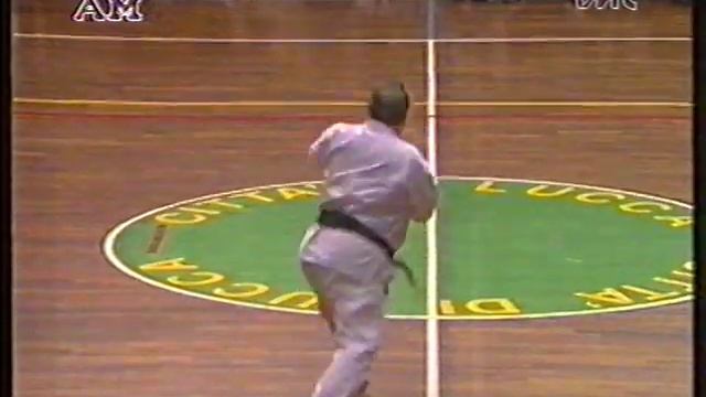 Sensei Taiji Kase-Kata Meikyo