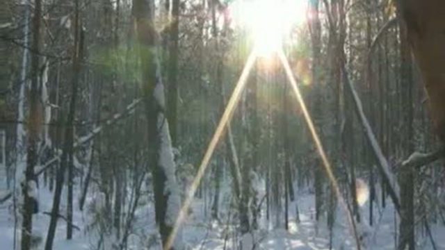 Окунево - Место Силы