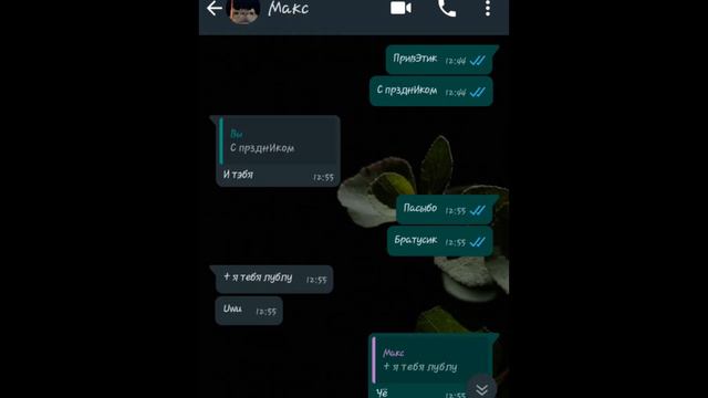 Меме"признание" 14 февраля с праздником💕 смотреть онлайн