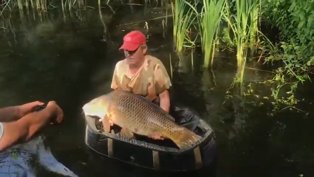 Бааа!!!! Знакомые все лица😂 Попалась 3 раз) поцеловали и отпустили👍 смотреть онлайн
