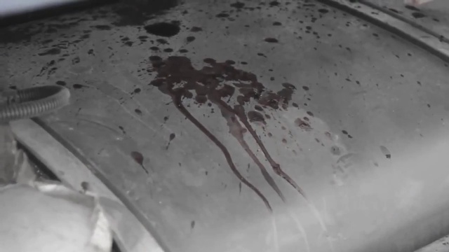 Drago - казак Бабай