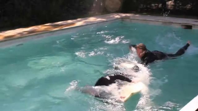 SASS Global Travel | Puerto Rico Surf Training смотреть онлайн