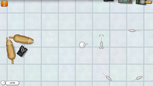 Tasty Planet Speedrun Fast Cats in 11.63 WR смотреть онлайн