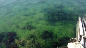 Пять шагов до моря. Эллинг в Феодосии.