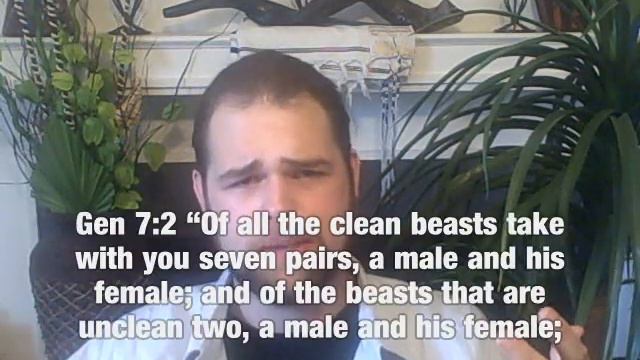 Sabbath Truth and... sunday deception part one of eight смотреть онлайн