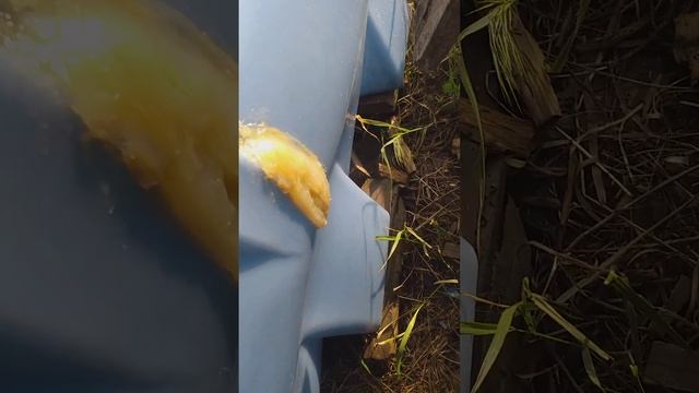 Ремонт пластиковой бочки своими руками. часть2. смотреть онлайн