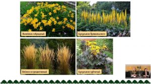 Как создать цветник. Неприхотливые цветники в условиях средней широты