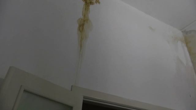 Уроки в школе № 83 Владивостока возобновятся с 23 сентября смотреть онлайн