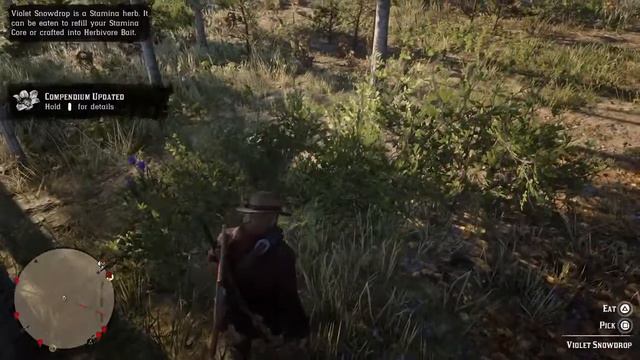 Sadie Adler & Indian camp : RDR 2 смотреть онлайн